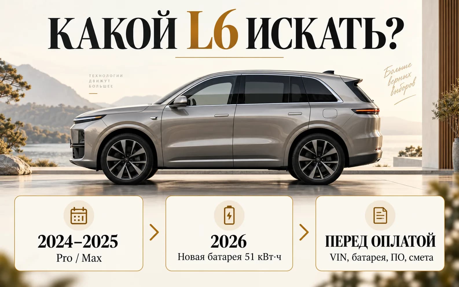 Инфографика: L6 Pro и Max 2024–2025 годов, новый L6 2026 года и проверка перед оплатой