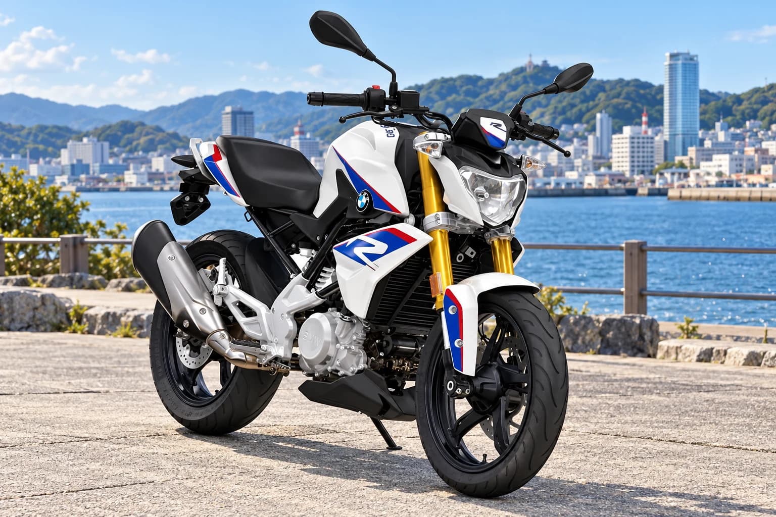 BMW G 310 R