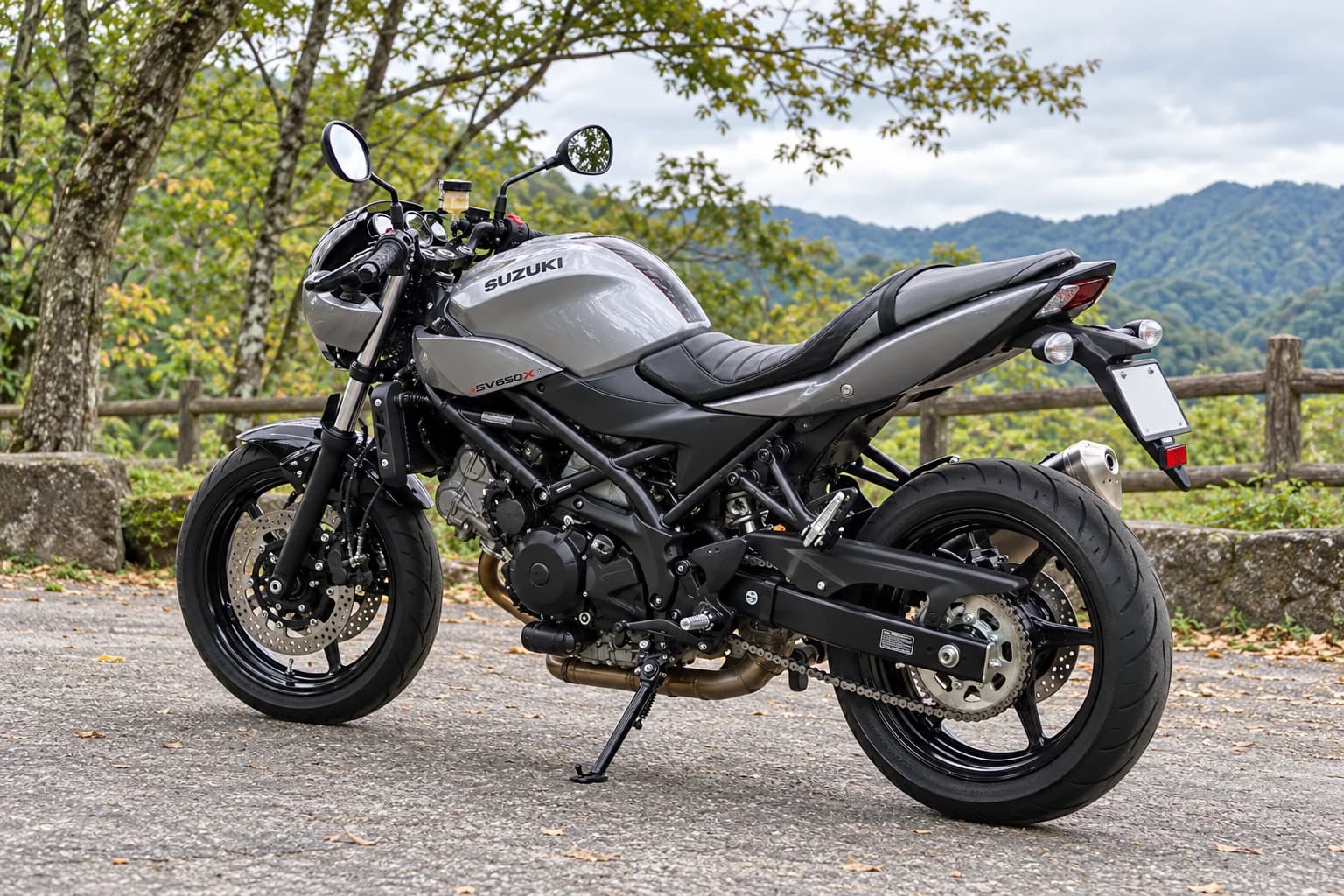 Suzuki SV650: другой ракурс