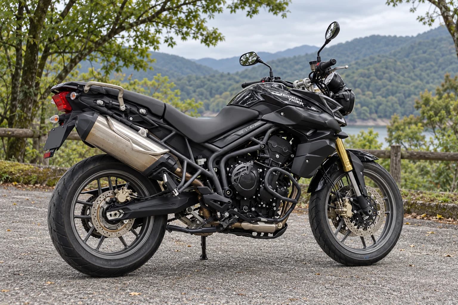 Triumph Tiger 800: другой ракурс