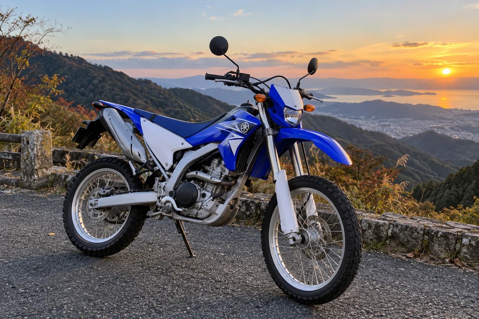 Yamaha WR250R
